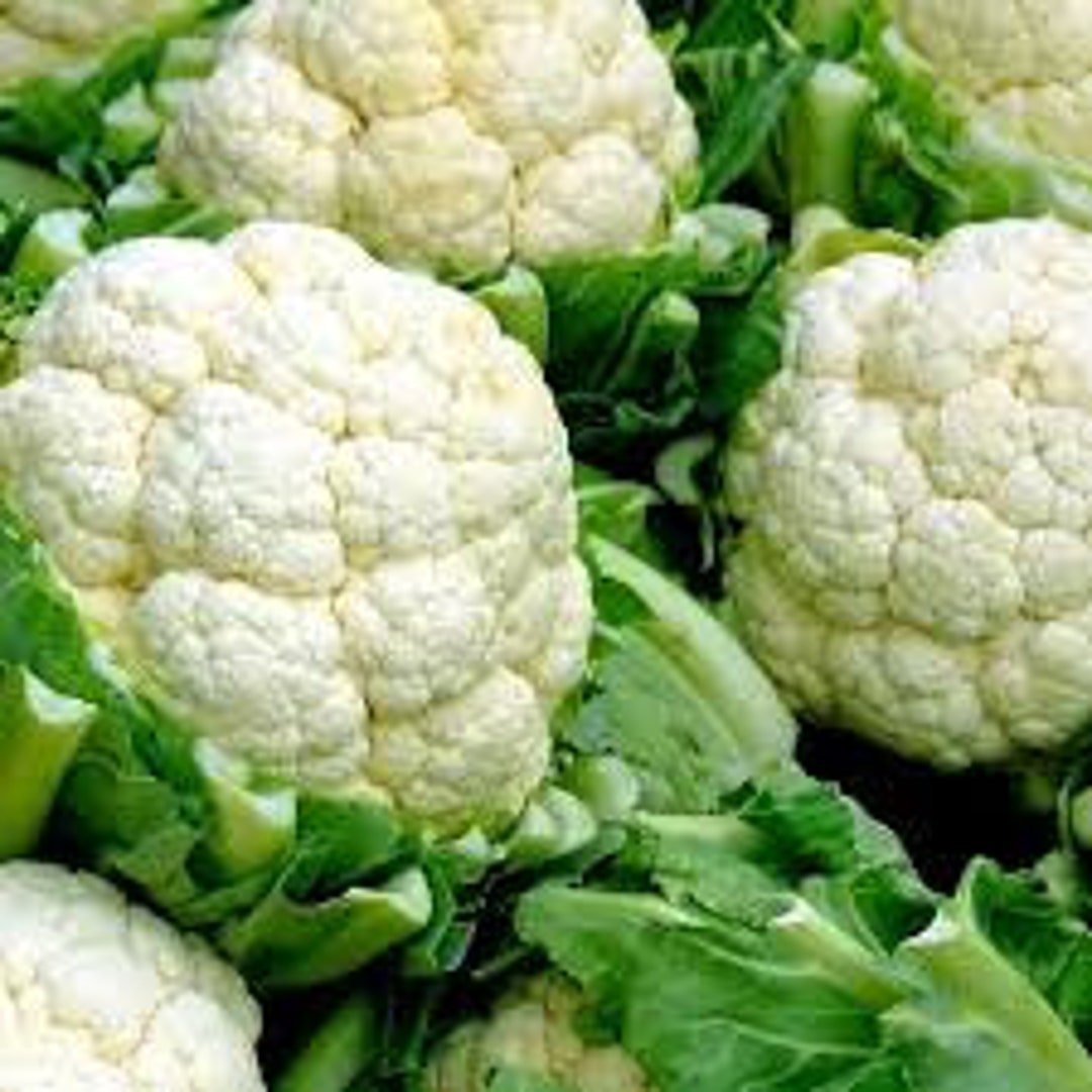 Cauliflower Letnyaya Alfa Summer Alfa Seeds Organically Grown - Etsy Sweden