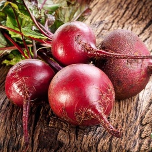 Nasiona buraka ćwikłowego - Detroit Beetrott Seeds - Beta vulgaris - czerwone nasiona warzyw