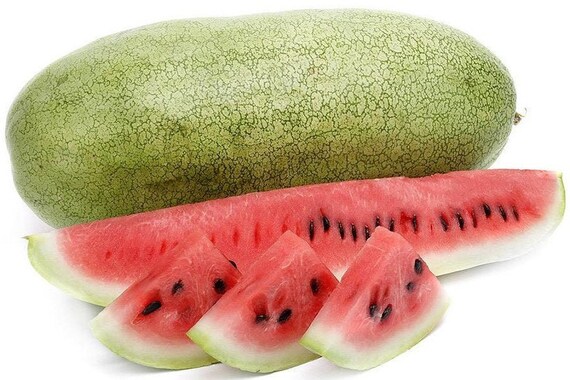 Seeds Watermelon Charleston Gray Vegatable Fruit Rare NON-GMO Organic Heirloom 