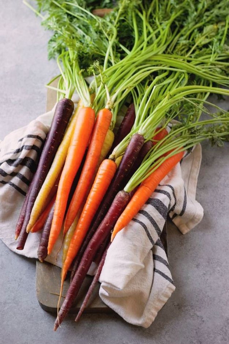 Rainbow Carrot Bled Seeds Сhef's Palette Seeds Vegetable | Etsy