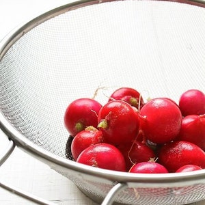 Radish Rubin Seeds - Vegetable Seeds - Radish Seeds - Garden Seeds - Pink Radish Seeds