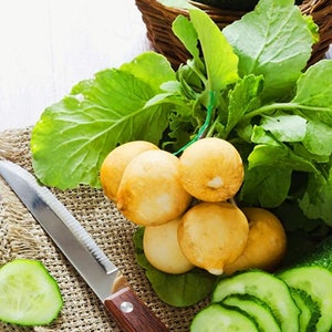 Gele Radijs Zlata - Groentezaden - NON GMO - Makkelijk te kweken