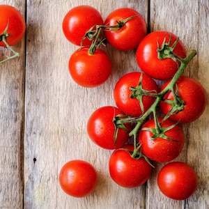 Red Tomato SANKA Samen - Erbstück - Gemüsesamen - Non GMO