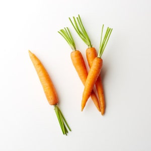 Seeds Super Sweet Carrot Vitamine Organically Grown Heirloom Vegetable