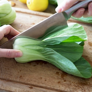 Graines de Сabbage chinois Pak Choi Bok Choy Cultivé biologiquement Rare Légumes anciens