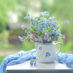 Alpen Vergissmeinnicht Mix - Myosotis alpestris - Zweijährige Blumensamen