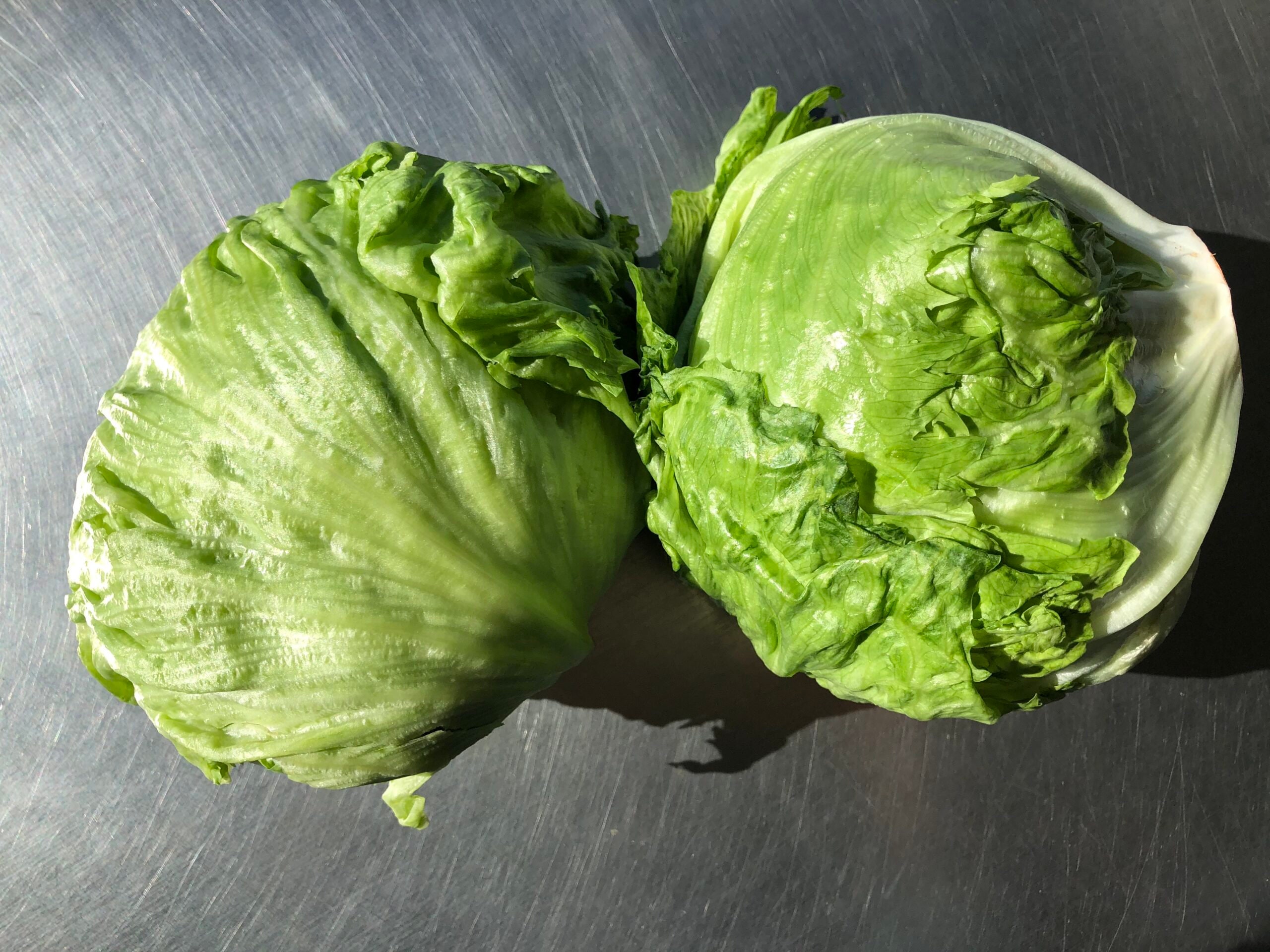 Lettuce Iceberg Seeds Iceberg Lettuce Heirloom Vegetable Etsy