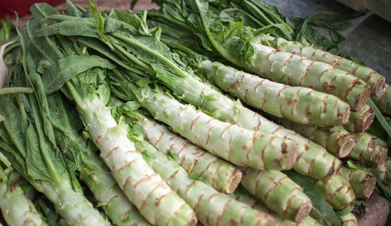 1000＋  WoJu-Vegatable seeds Asparagus stem lettuce Celtuce wosun
