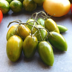 トマト グリーン タイガー - 伝統品種 - 野菜の種 - トマトの種 - 非遺伝子組み換え - グリーン ゼブラ トマトの種
