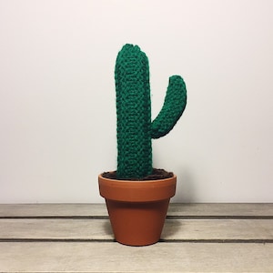 Peut inclure: Un cactus en tricot vert avec un seul bras, en pot dans un pot en terre cuite. Le cactus est posé sur une surface en bois.