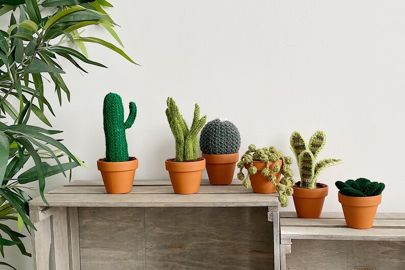 Artificial Snake Plant Succulent Hand Crocheted in a Small Etsy UK