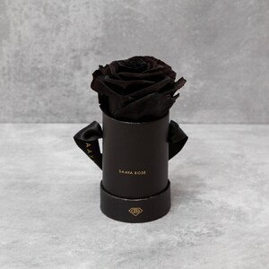 Puede incluir: Una rosa negra en una caja redonda negra con una cinta negra. La caja tiene texto dorado que dice "SAAYA ROSE" y un logotipo dorado. La rosa es el punto focal, sobre un fondo gris.