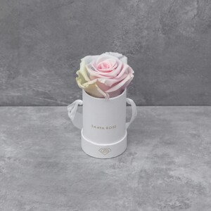 Puede incluir: Una sola rosa multicolor en una caja redonda blanca con el texto "SAAYA ROSE" en dorado. La rosa tiene p&eacute;talos rosas, amarillos y azules. La caja tiene un asa de cinta blanca y un logotipo dorado.