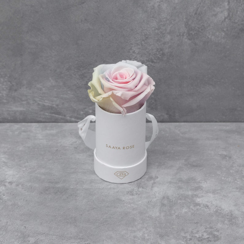Puede incluir: Una sola rosa multicolor en una caja redonda blanca con el texto "SAAYA ROSE" en dorado. La rosa tiene p&eacute;talos rosas, amarillos y azules. La caja tiene un asa de cinta blanca y un logotipo dorado.