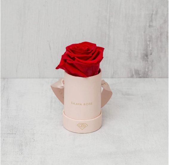 Single Rose - Preserved Roses that last 365 days, xmas gifts, real roses that last -  Bridal Gift - holiday gifts - Wedding gifts - gifts