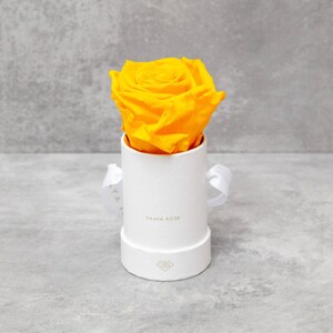 Puede incluir: Una rosa amarilla brillante en una caja de regalo redonda blanca con una cinta blanca. La caja tiene las palabras "SAAYA ROSE" impresas en la parte delantera. La rosa es el punto focal, con su color vibrante contrastando con el blanco de la caja.