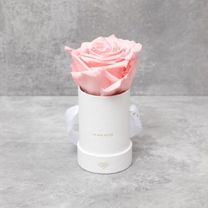 Puede incluir: Una rosa rosa p&aacute;lido en una caja cil&iacute;ndrica blanca. La caja tiene una tapa a juego, una cinta blanca y las palabras "SAAYA ROSE" impresas en la parte delantera. La rosa est&aacute; en plena floraci&oacute;n, con p&eacute;talos delicados.