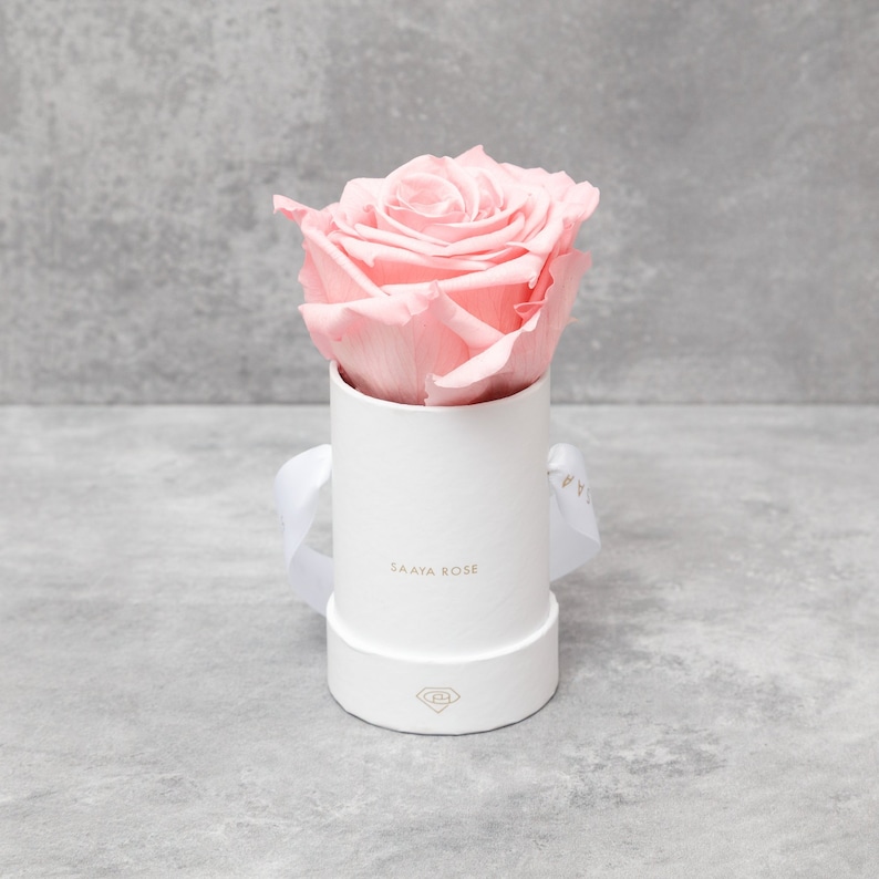 Puede incluir: Una rosa rosa p&aacute;lido en una caja cil&iacute;ndrica blanca. La caja tiene una tapa a juego, una cinta blanca y las palabras "SAAYA ROSE" impresas en la parte delantera. La rosa est&aacute; en plena floraci&oacute;n, con p&eacute;talos delicados.