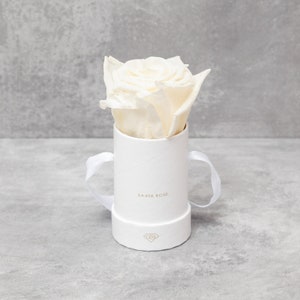 Puede incluir: Una sola rosa blanca cremosa en una caja redonda blanca con un asa de cinta. La caja tiene el texto "SAAYA ROSE" en letras doradas. La rosa es el punto focal, sobre un fondo gris neutro.