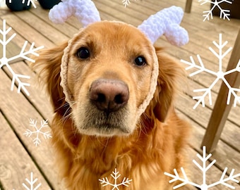 Patrón de ganchillo de astas de reno para perro