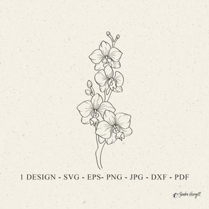 Archivo de imágenes prediseñadas de orquídea de flores silvestres Svg: archivo de corte de flores botánicas, lindo Cricut floral, silueta de flor dulce, camisa con monograma SVG, taza Svg