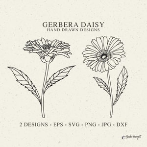 Gerbera Daisy traceur fichier Svg Dxf Png Jpg fleurs sauvages mignons Cricut botanique Floral Clipart jardin plante Silhouette mariage vinyle coupé fichier