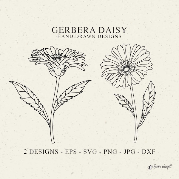 Gerbera Daisy Plotter File Svg Dxf Png Jpg Cute Wildflower Cricut Botanical Floral Clipart Garden Plant Silhouette Wedding Vinyl Cut file