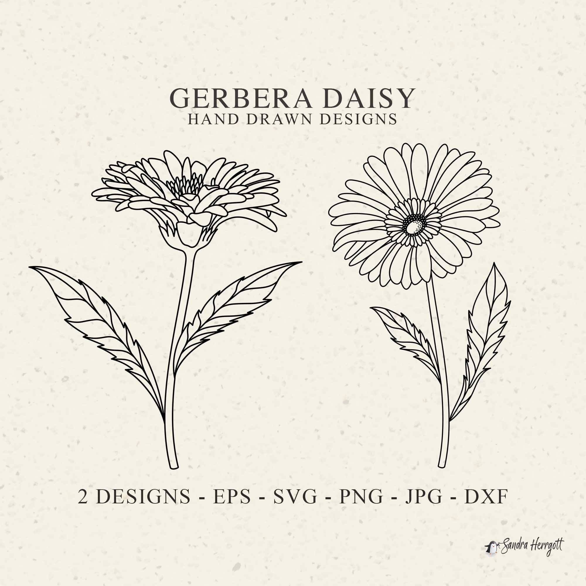 gerbera-daisy-plotter-file-svg-dxf-png-jpg-cute-wildflower-cricut-botanical-floral-clipart-garden-plant-silhouette-wedding-vinyl-cut-file-etsy