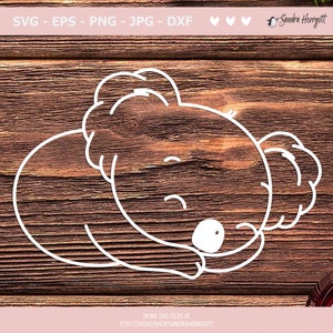 K&ouml;nnte beinhalten: Wei&szlig;es Strichkunst-Bild eines schlafenden Koalas auf Holzgrund. Der Koala ist zusammengerollt, der Kopf ruht auf seinen Pfoten. Das Bild enth&auml;lt den Text "SVG - EPS - PNG - JPG - DXF" und den Etsy-Shop-Namen.