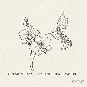 File plotter per colibrì orchidea SVG DXF PNG EPS Jpg PDF fiore selvatico Cricut botanico floreale Clipart animale silhouette vinile taglio laser