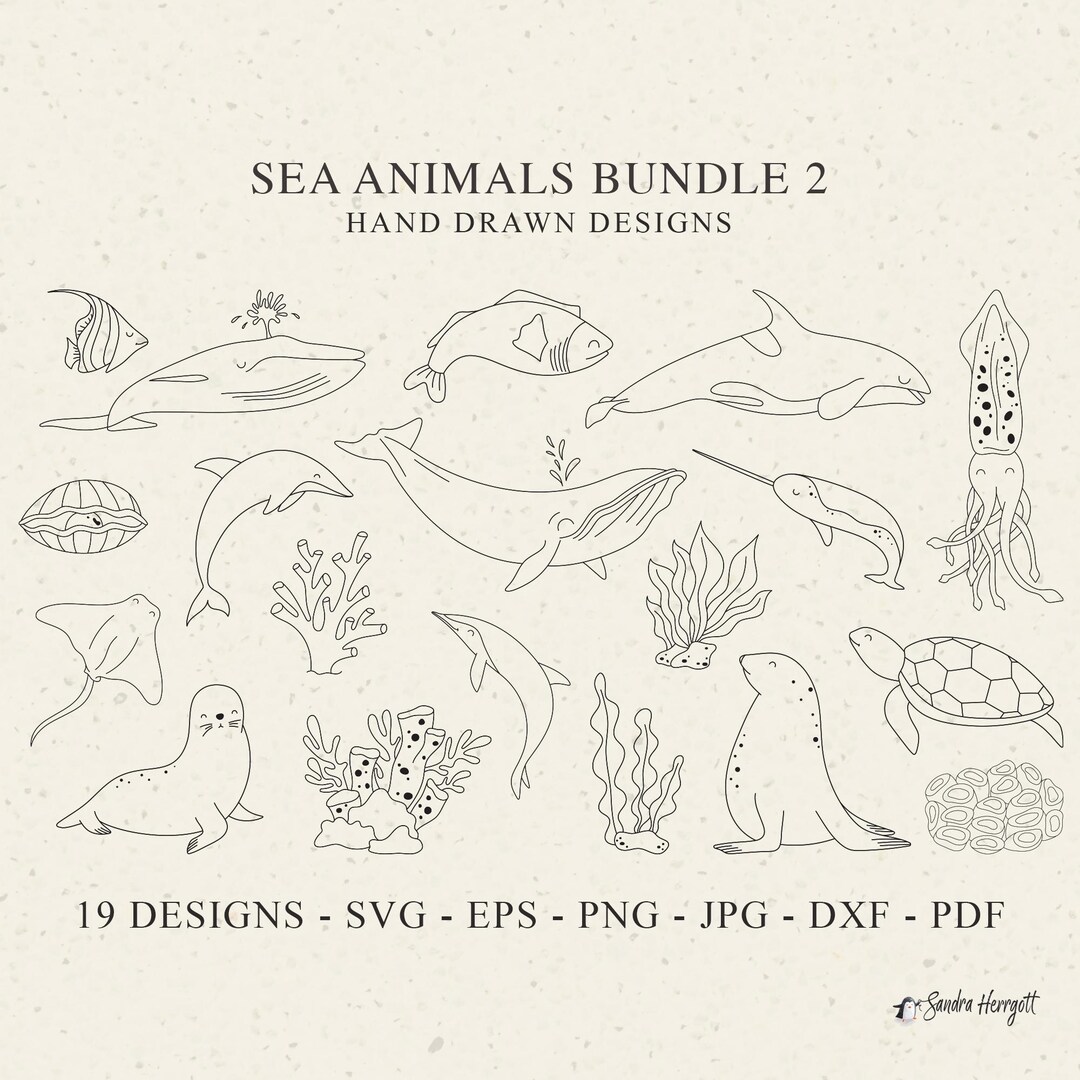 Sea Animal Plotter File Svg Dxf Png Jpg Cricut Baby Turtle Silhouette ...