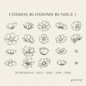 Schmuckkörbchen Blüte Plotterdatei Schmuckkörbchen Png Dxf Png Floral Cricut Blume Silhouette Vinyl Laser Cut Datei Botanische Dekor Clipart DIY Schablone Vorlage