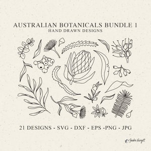 Arquivo de plotter botânico australiano Svg Dxf Png Eps Jpg Floral tropical Cricut Silhueta de vegetação Vinil Arquivo de corte a laser Folha Clipart Berry
