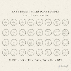 Baby Milestone Rounds Plotter File SVG DXF PNG Cute Spring Bunny Wreath Cricut Plotting Bundle Announcement Hello World Newborn Stats Sign