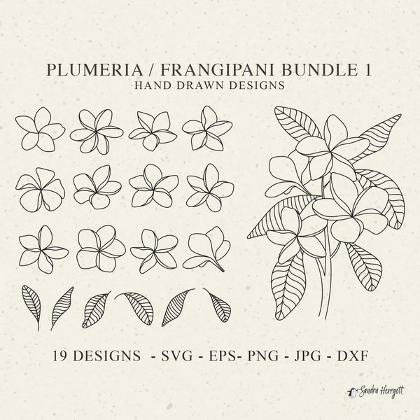 Plumeria Stencil - Etsy Australia