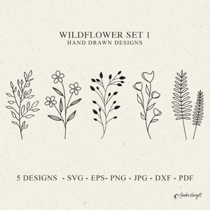 Conjunto de 1 clipart SVG de flores silvestres, Cricut floral, esboço de flor SVG, PNG, DXF, arquivos vetoriais EPS Cricut, silhueta botânica digital