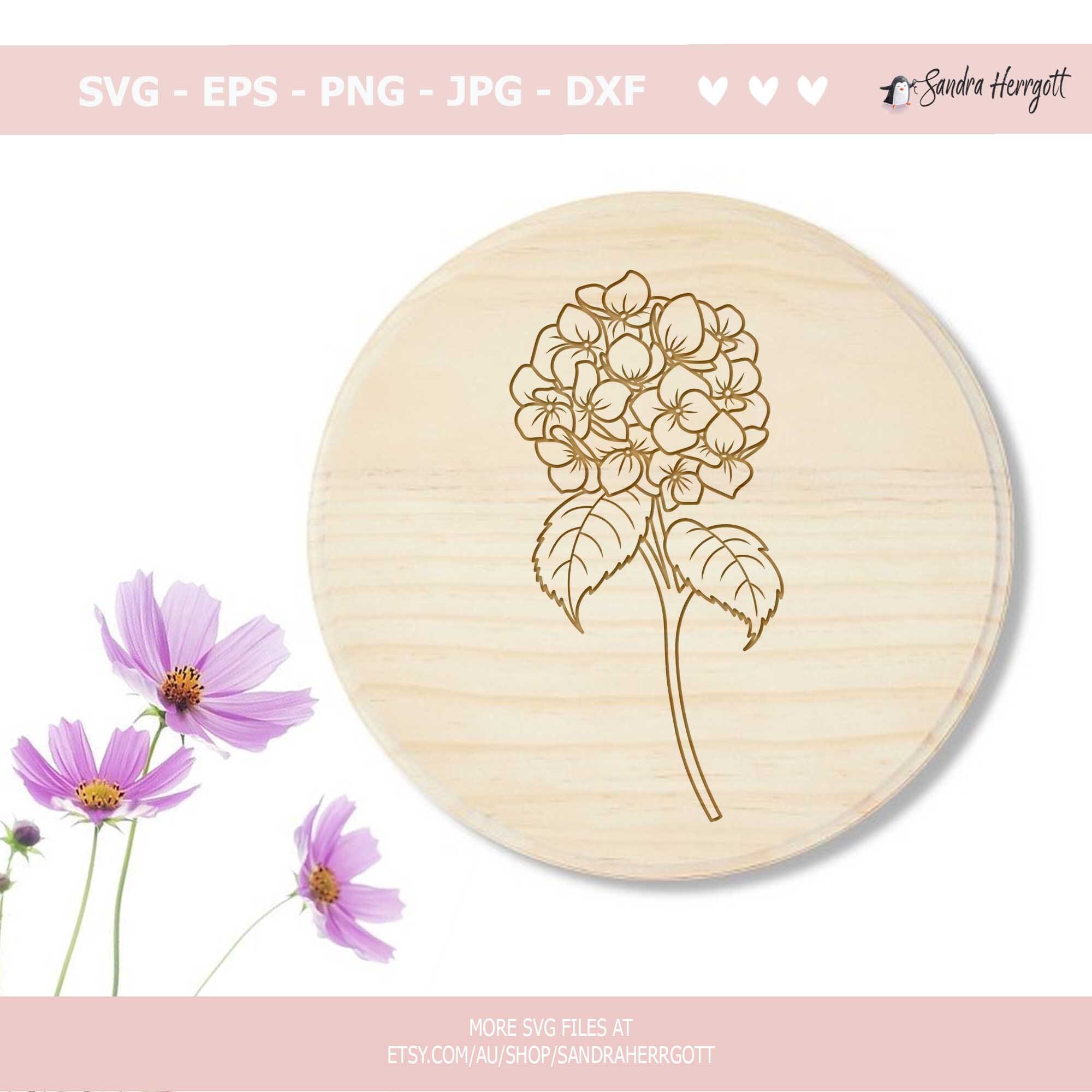Hydrangea Plotter File Svg Dxf Png Eps Jpg Cute Wildflower - Etsy Australia