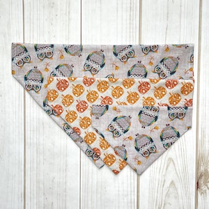 May include: Three fabric dog bandanas with a pattern of owls and pumpkins. The bandanas are in shades of brown, orange, and white.