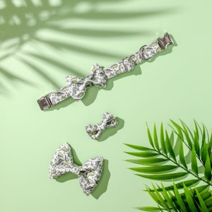 May include: A white and green patterned dog collar with a silver buckle. Three matching bow ties are also included. The bow ties are in various sizes.