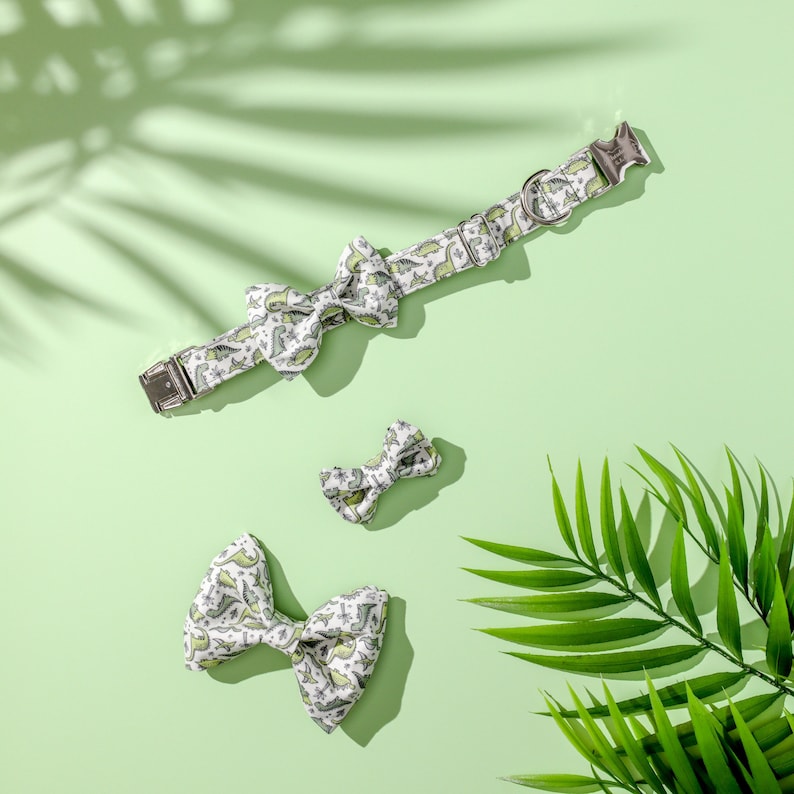 May include: A white and green patterned dog collar with a silver buckle. Three matching bow ties are also included. The bow ties are in various sizes.