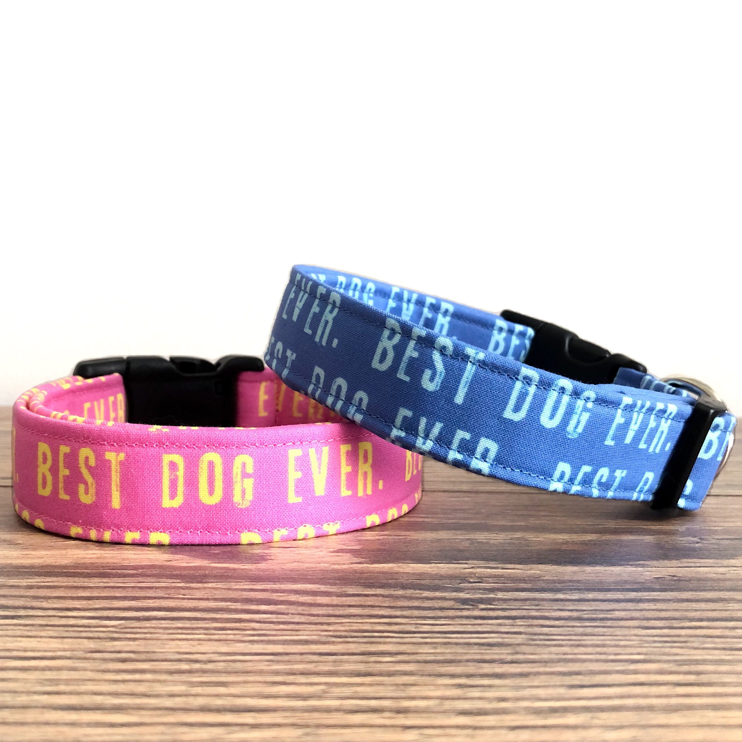 Best Dog Ever Collar Pink Dog Collar Blue Dog Collar Boy Etsy