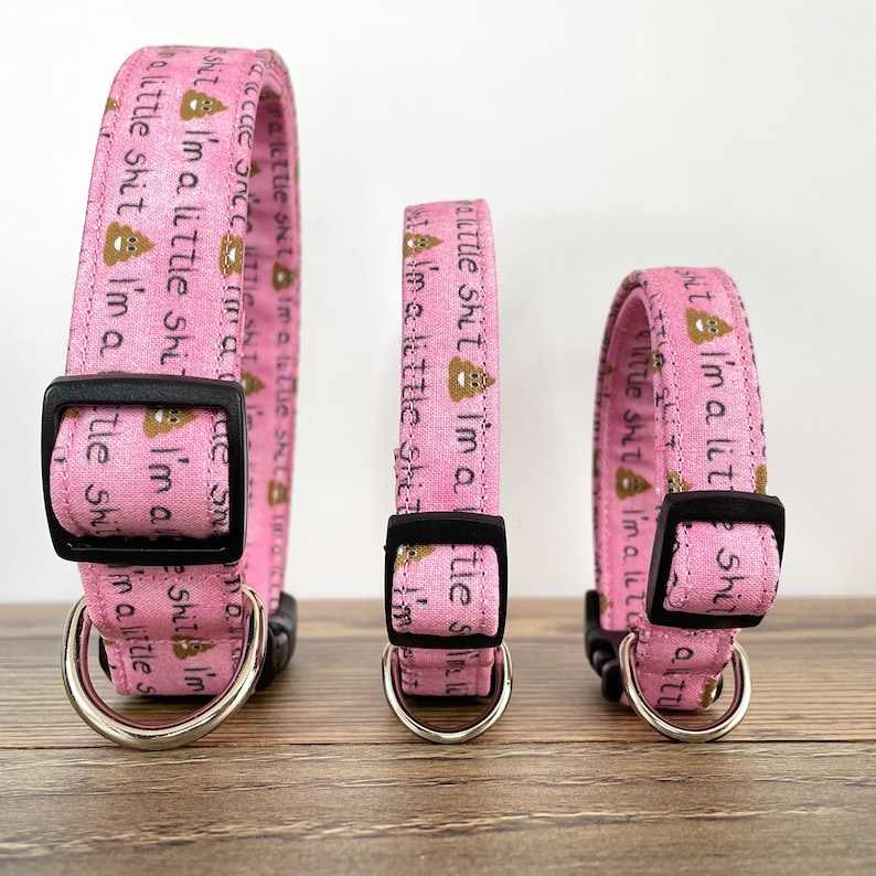 Little Shit Dog Collar, Pink Dog Collar, Funny Dog Collar, Girl Dog Collar, Puppy Collar, Troublemaker Dog Collar, Adjustable Dog Collar image 3