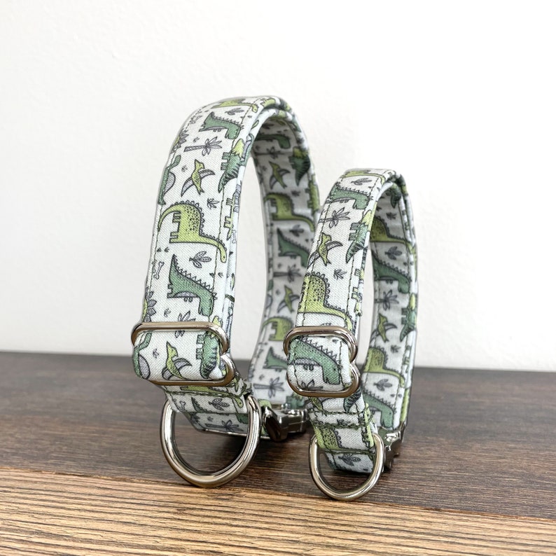 Dinosaur Dog Collar Cute Dog Collar Funny Dog Collar Etsy