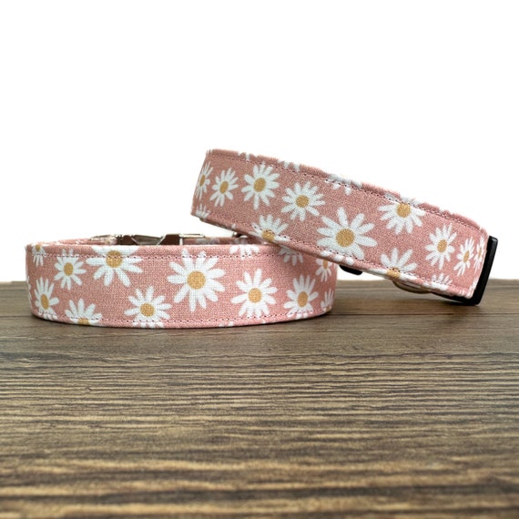 Pink Daisy Dog Collar, Adjustable Floral Puppy Collar