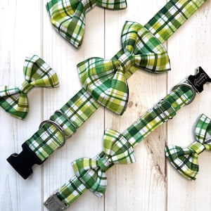 May include: Green and white plaid dog collars with matching bow ties. The collars have a black plastic buckle and silver metal hardware. The bow ties are pre-tied and attached to the collar. The plaid pattern includes shades of green and white.