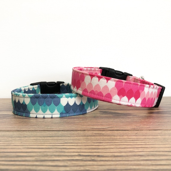 girl dog collars