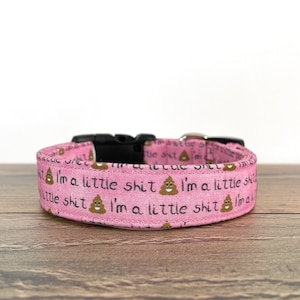 Collar para perro pequeño, collar rosa, collar divertido, collar para niña, collar para cachorro, collar para perro problemático, collar ajustable para perro