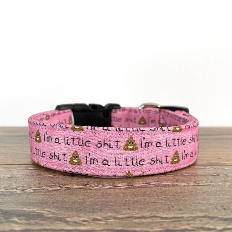 Little Shit Dog Collar, Pink Dog Collar, Funny Dog Collar, Girl Dog Collar, Puppy Collar, Troublemaker Dog Collar, Adjustable Dog Collar image 1