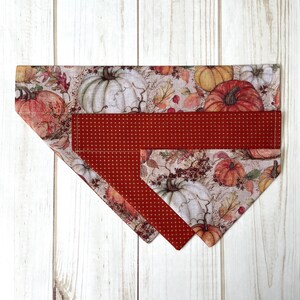 May include: A red and white patterned dog bandana with a fall theme featuring pumpkins and leaves.