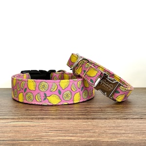May include: Two pink dog collars with a lemon print. The larger collar has a black buckle and the smaller collar has a silver buckle with the text "Chewbarka G&K" on it.